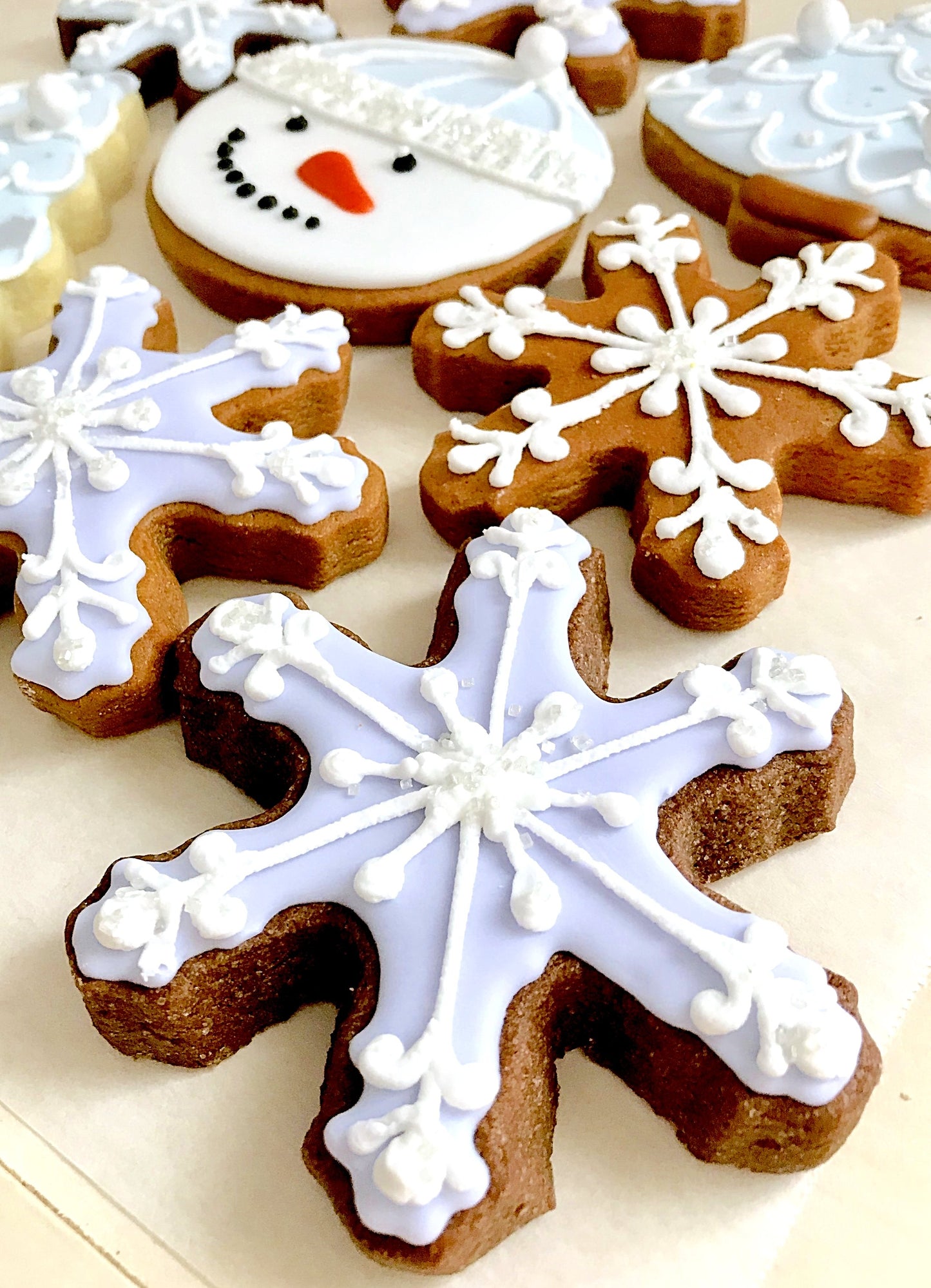 Winter Wonderland Cookies